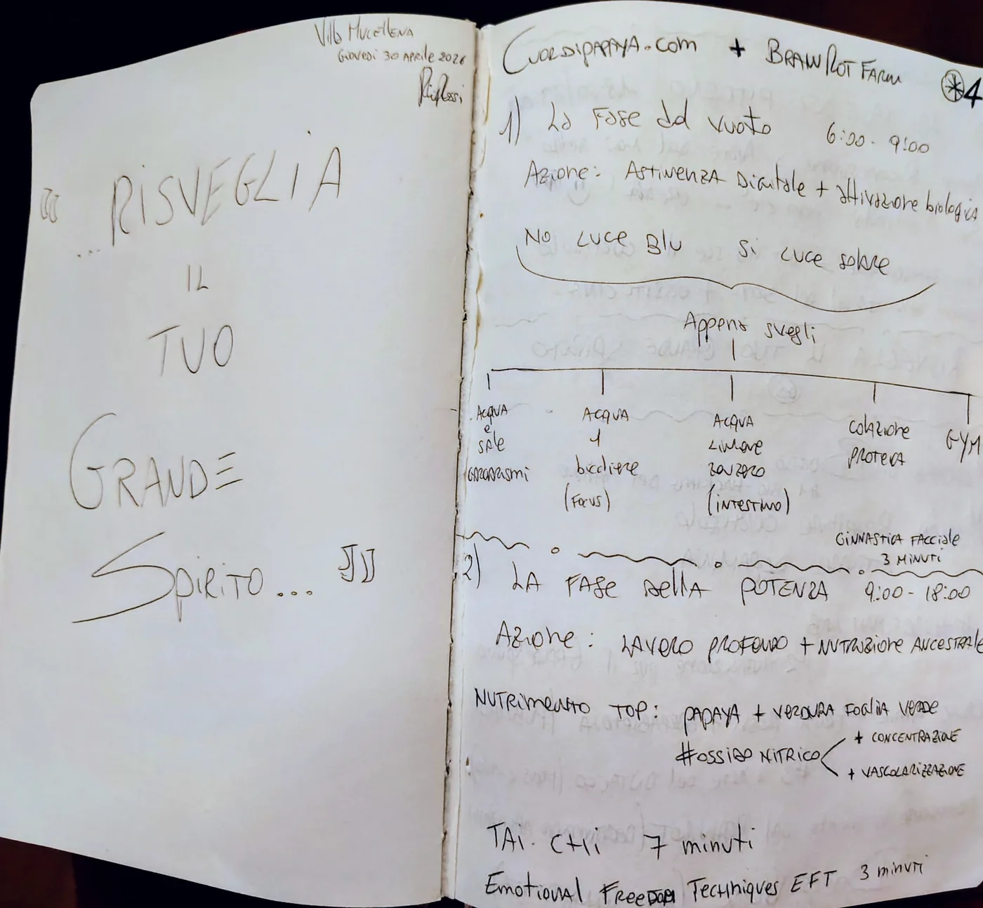 Taccuino manoscritto Riccardo Rossi Founder — pagina 01 Il Risveglio