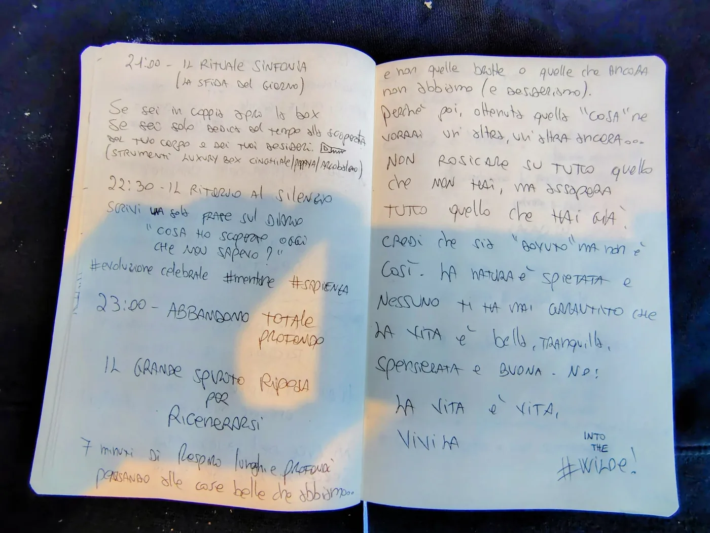 Taccuino manoscritto Riccardo Rossi Founder — pagina 03 La Sinfonia